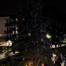 “Baltic Beach Hotel & SPA” iemirdzējās svētku noskaņās! 